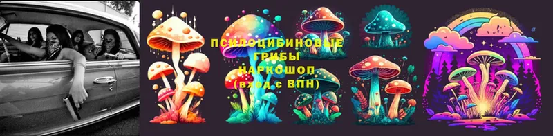 Псилоцибиновые грибы Psilocybine cubensis  цены наркотик  Таганрог 